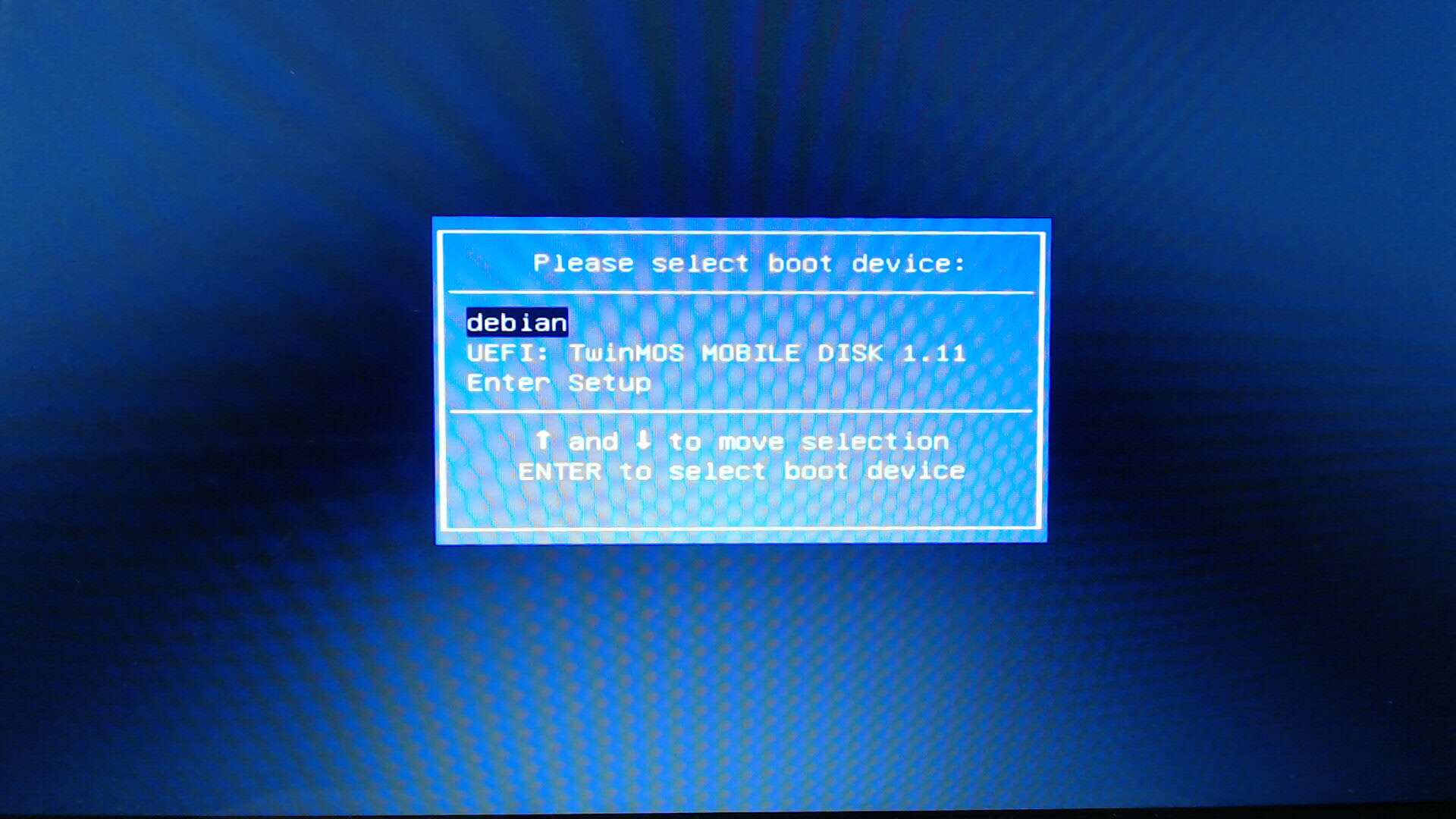 Выбор загрузочного устройства на Asus X205TA